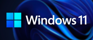 ‎LockDown Browser for Windows 11
